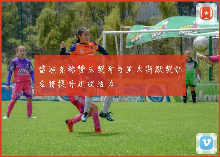 雷迪克称赞东契奇与里夫斯默契配合将提升进攻活力