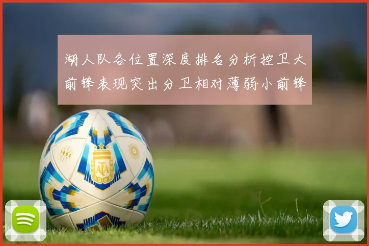 湖人队各位置深度排名分析控卫大前锋表现突出分卫相对薄弱小前锋与中锋处于中游水平