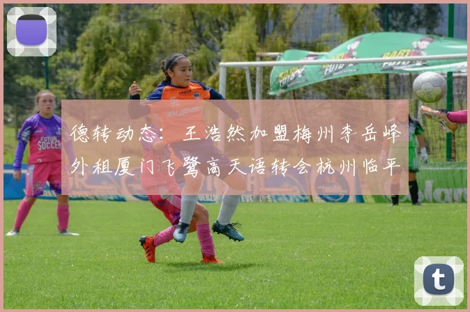 德转动态：王浩然加盟梅州李岳峰外租厦门飞鹭高天语转会杭州临平吴越