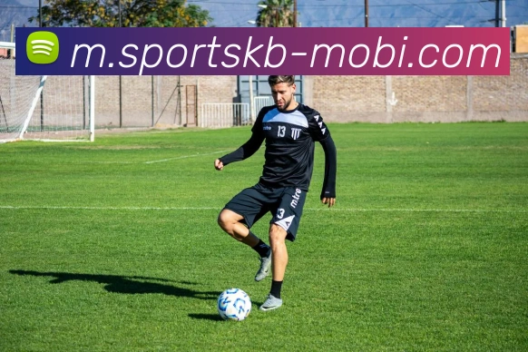 App Interface Preview