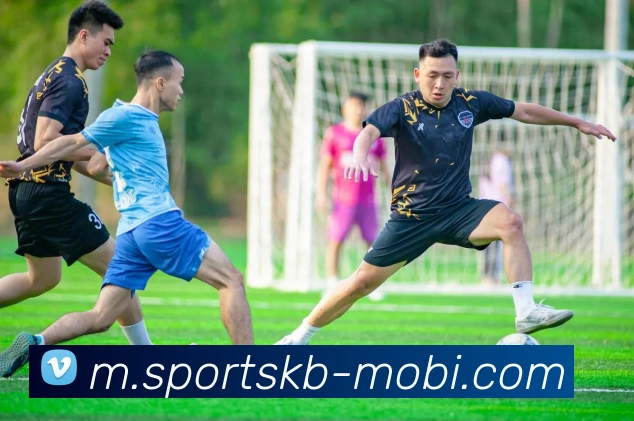 KB体育APP 封面图